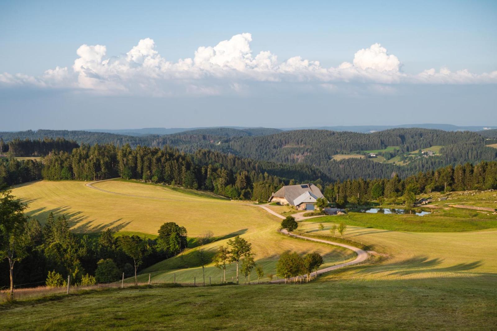 Landhaus Panoramablick Schonach im Schwarzwald 외부 사진