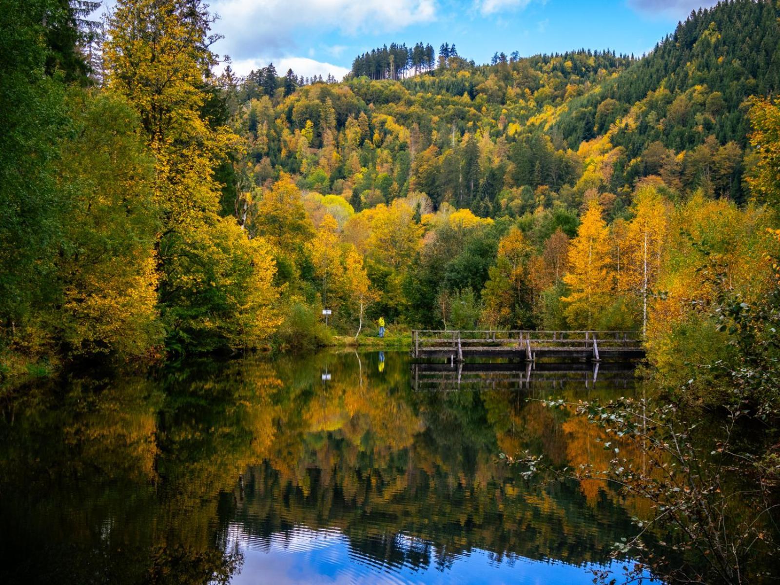 Landhaus Panoramablick Schonach im Schwarzwald 외부 사진